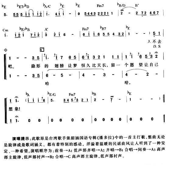 隐形的翅膀（王雅君词曲）（2/2） -  简谱第1页