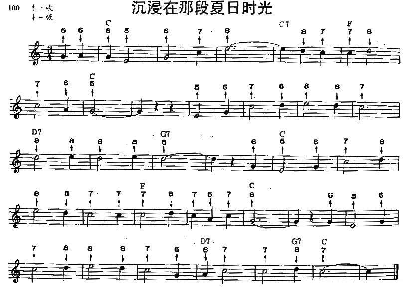 沉浸在那段夏日时光（布鲁斯） -  简谱第1页