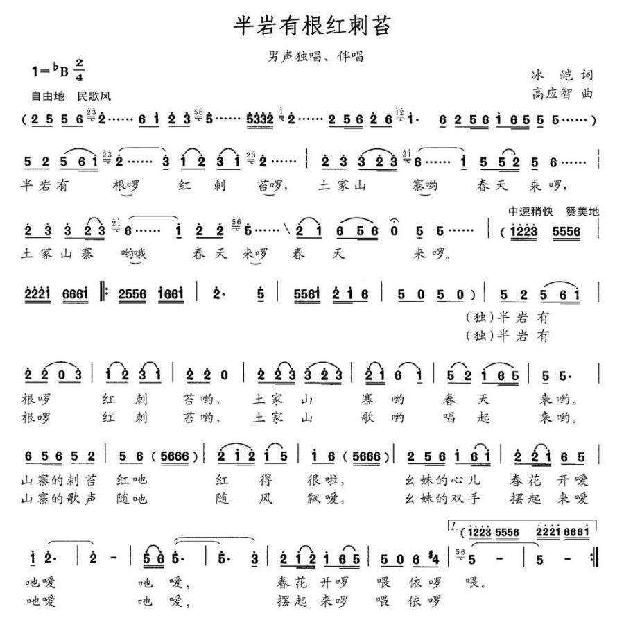 半岩有根红刺苔（男声独唱、伴唱） -  简谱第1页