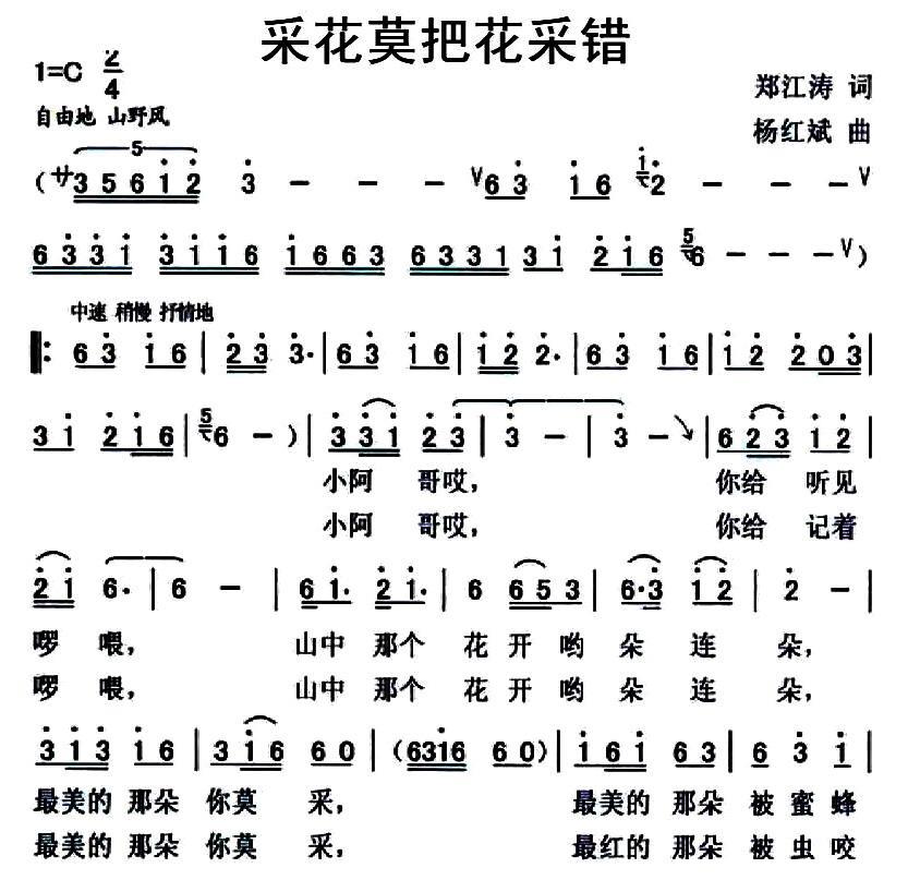 采花莫把花采错（杨红斌曲 郑江涛词） -  简谱第1页