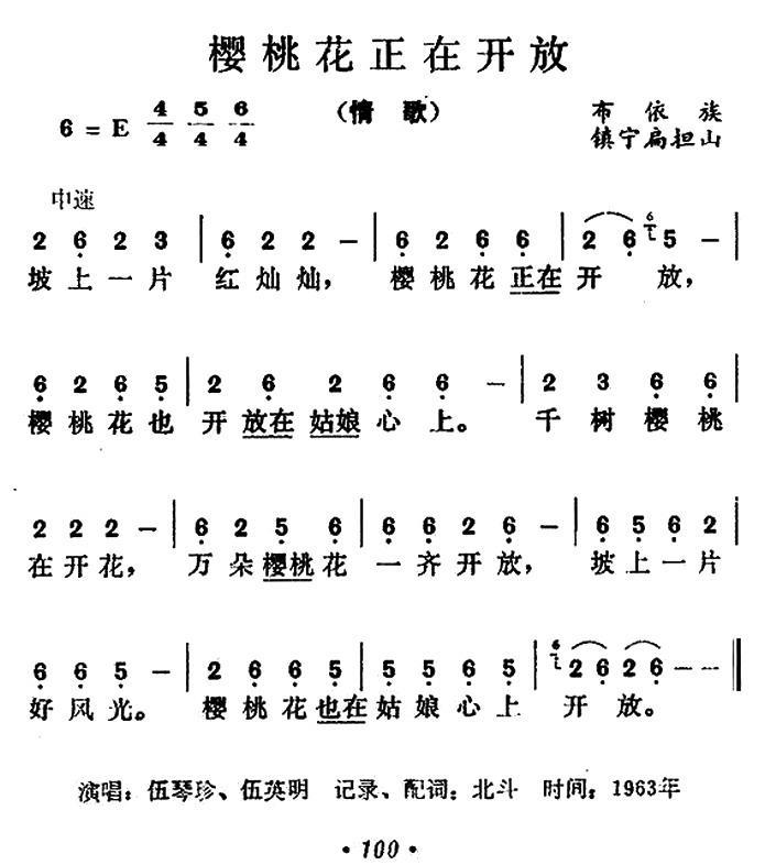 樱桃花正在开放（布依族情歌） -  简谱第1页