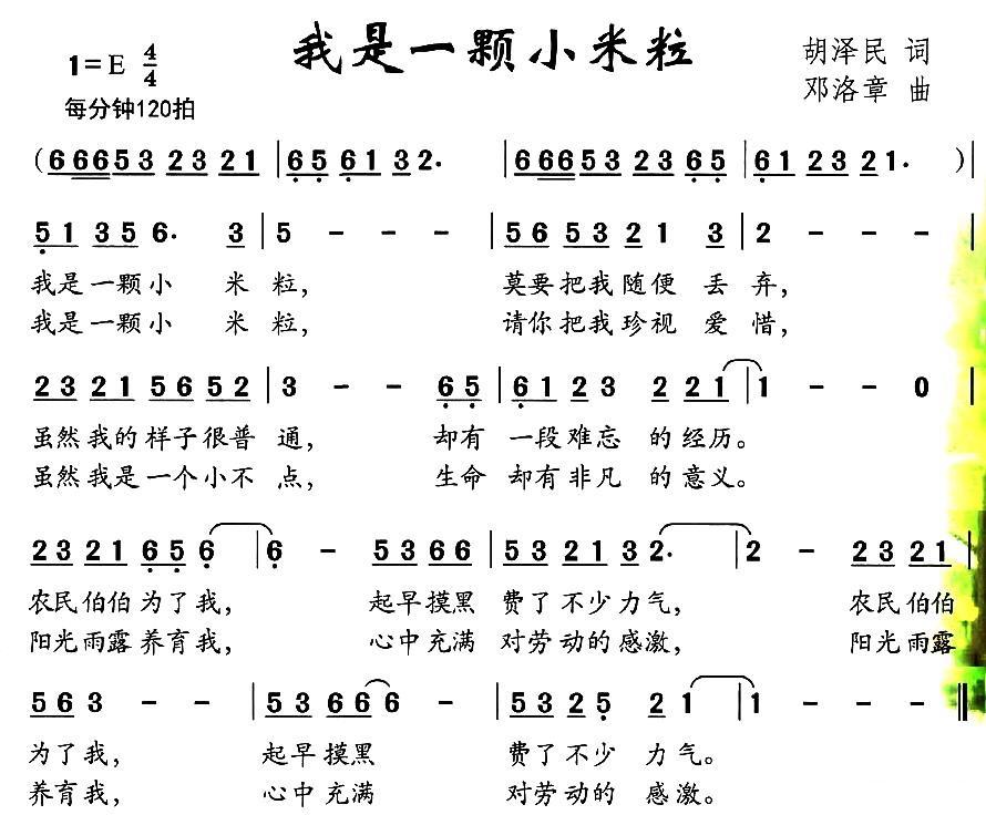 我是一颗小米粒（邓洛章曲 胡泽民词） -  简谱第1页